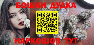 индика Будённовск