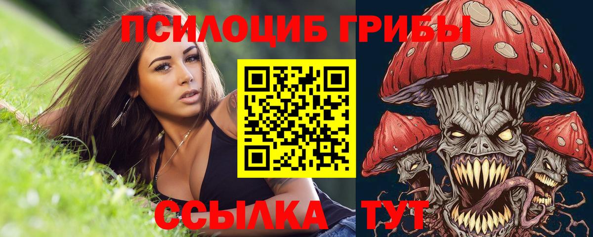 Галлюциногенные грибы MAGIC MUSHROOMS Россошь