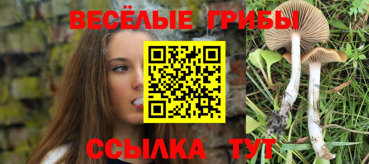 Россошь  Псилоцибиновые грибы Psilocybine cubensis  Вход с VPN 